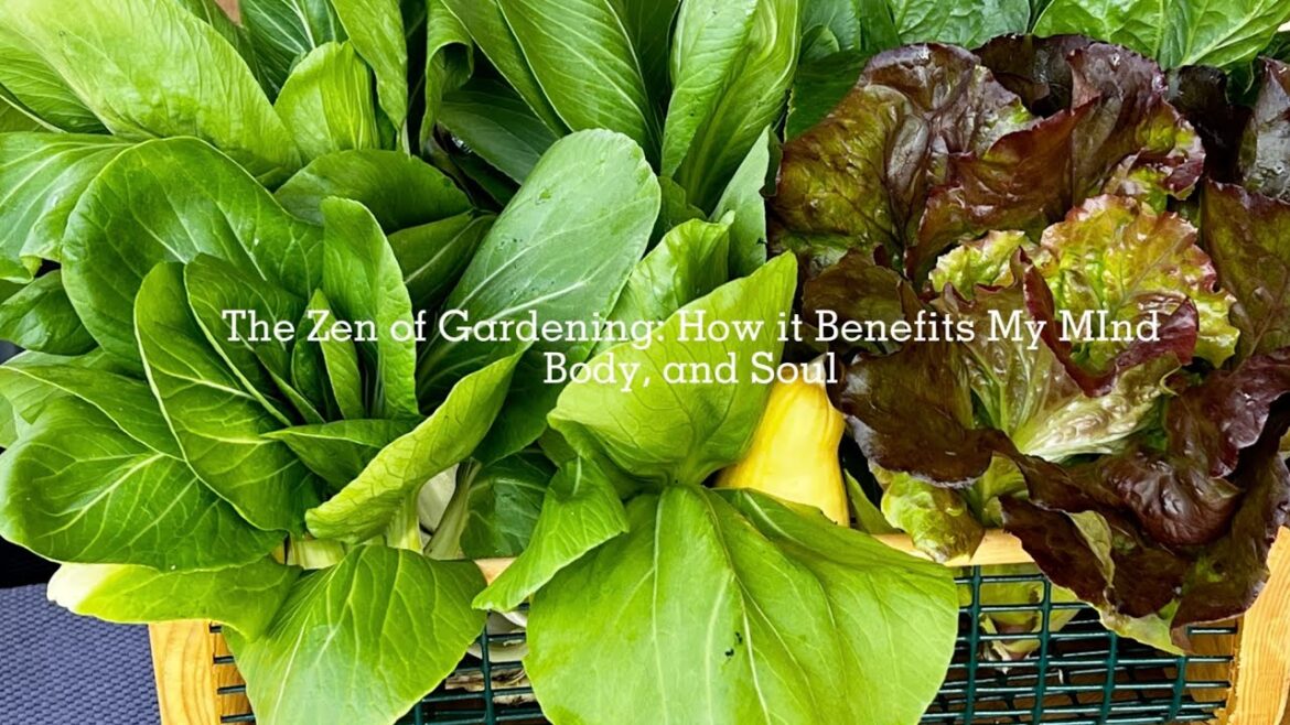 Embracing the Joy of Growing Your Own Food #gardening #vegatables #blackgardeners #growyourownfood Embracing the Joy of Growing Your Own Food #gardening #vegatables #blackgardeners #growyourownfood