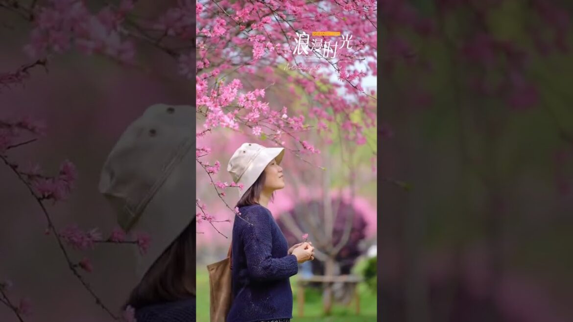 Escape to the country 41 #countrylife #escapetothecountry #ruralliving Escape to the country 41 #countrylife #escapetothecountry #ruralliving