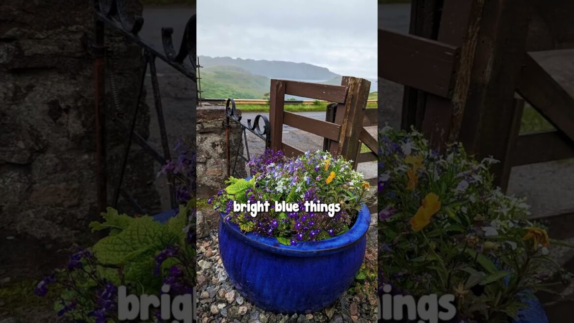 😍 We are happy to have Mojay Pots, an Australian leading pot distributor, as our supplier🪴✨