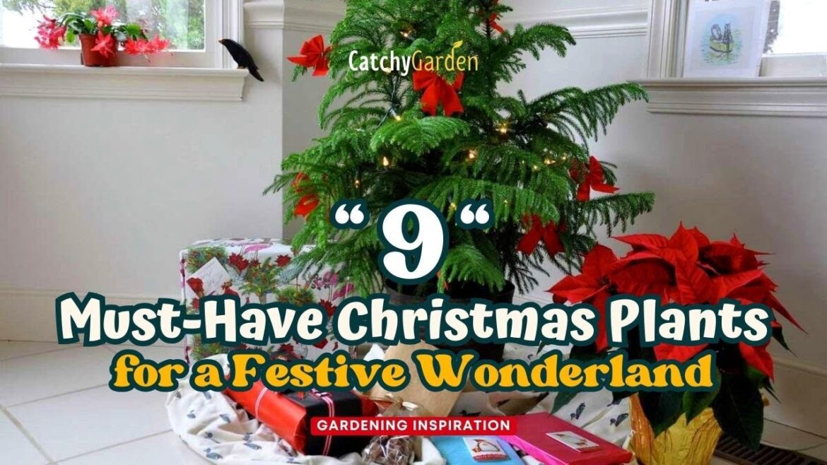 9 Must-Have Christmas Plants for a Festive Wonderland ππΉπ // Gardening Ideas 9 Must-Have Christmas Plants for a Festive Wonderland ππΉπ // Gardening Ideas