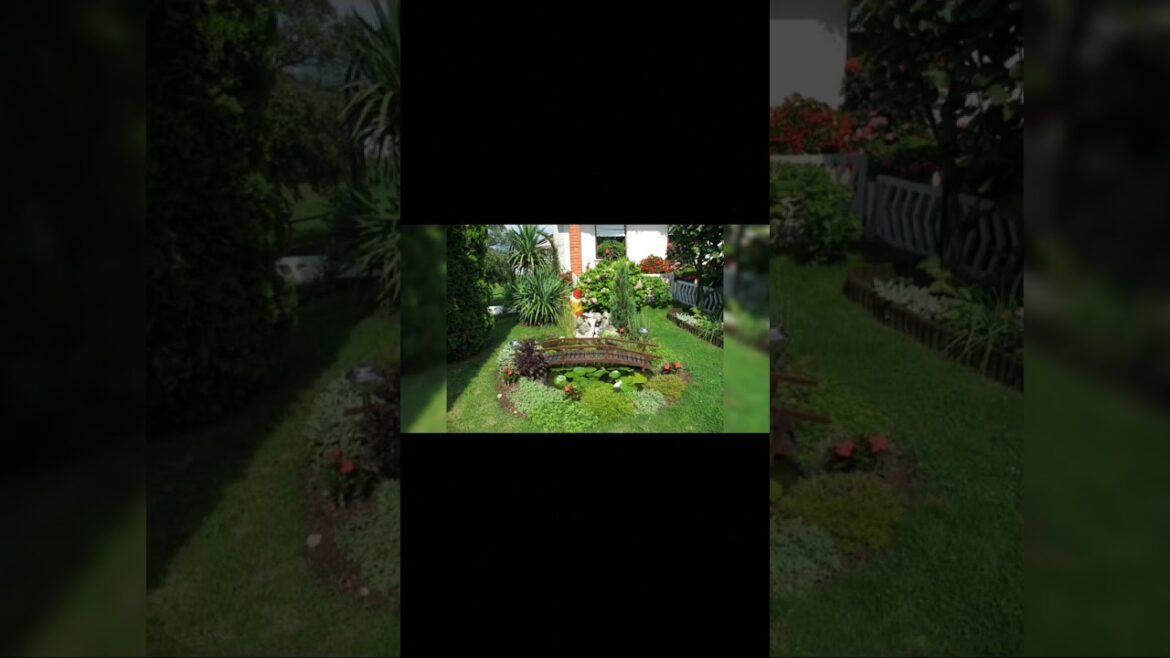 π± Trending Garden Hacks 2024! πΏ | Short & Sweet Gardening Tips for a Green Revolution! πΊ #shorts π± Trending Garden Hacks 2024! πΏ | Short & Sweet Gardening Tips for a Green Revolution! πΊ #shorts