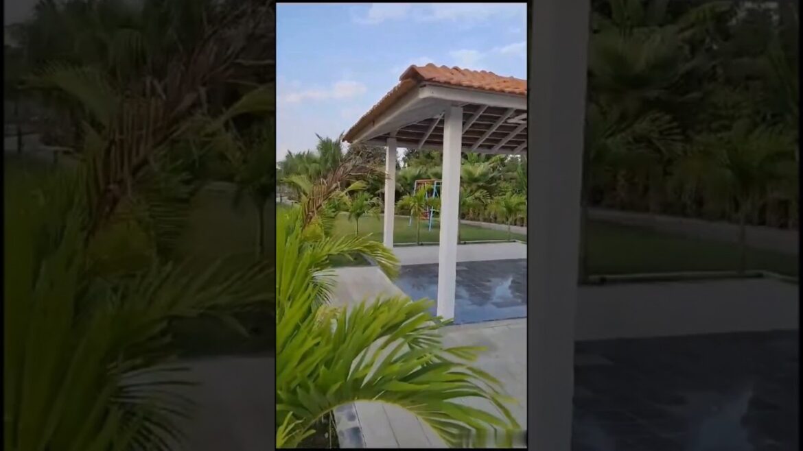 Most beautiful gardens | beautiful garden inspiration! front yard garden #shorts#viral#trending