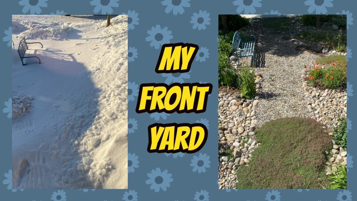 My Frontyard One Photo a Month