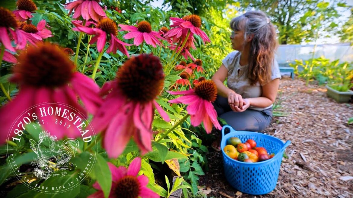 Planning My 2024 Garden | A Season of Joy!