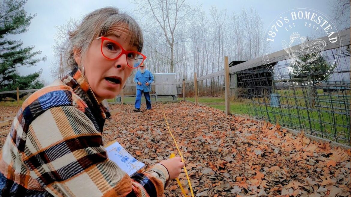 MY GARDEN PLAN | Brand New Garden Spaces MY GARDEN PLAN | Brand New Garden Spaces