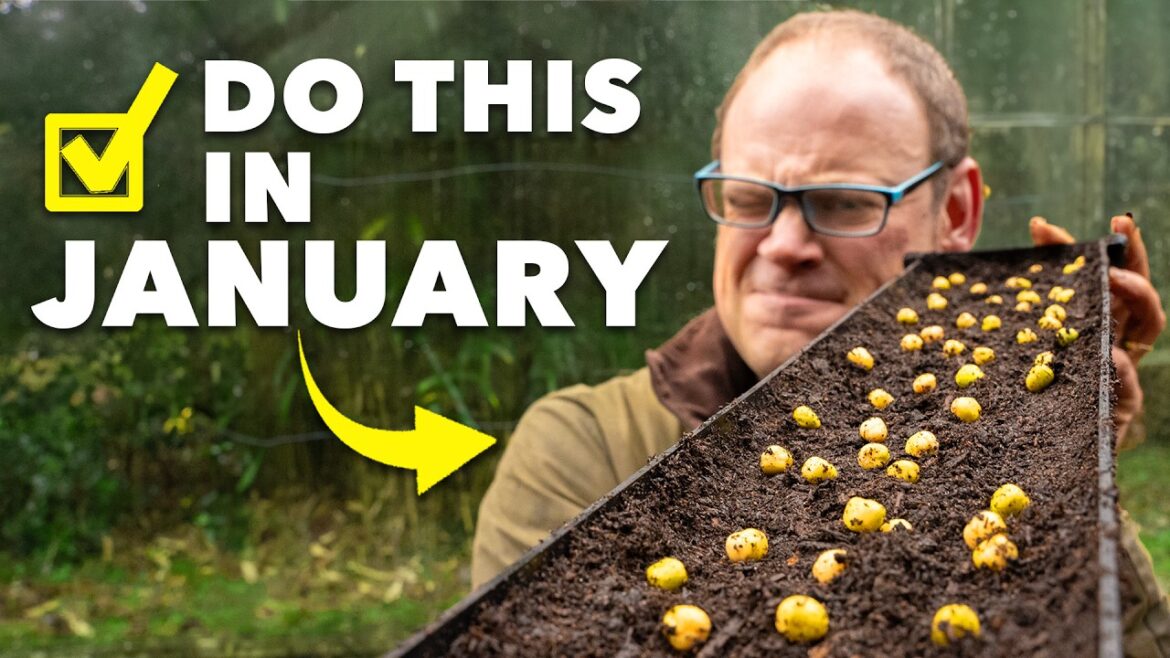 Garden Checklist: 10 Tasks to Give Your Garden a Head Start in January