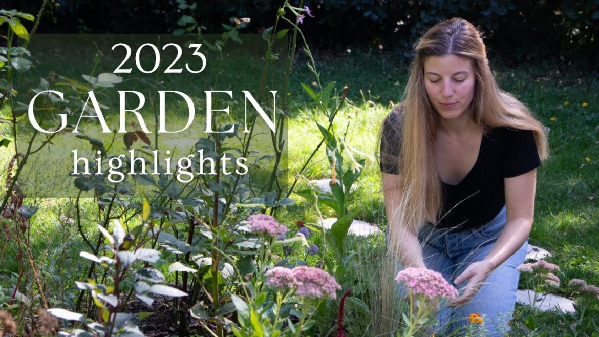 A YEAR OF GARDEN MAKEOVERS β¨π 2023 RECAP & Plans for 2024 A YEAR OF GARDEN MAKEOVERS β¨π *2023 RECAP & Plans for 2024*