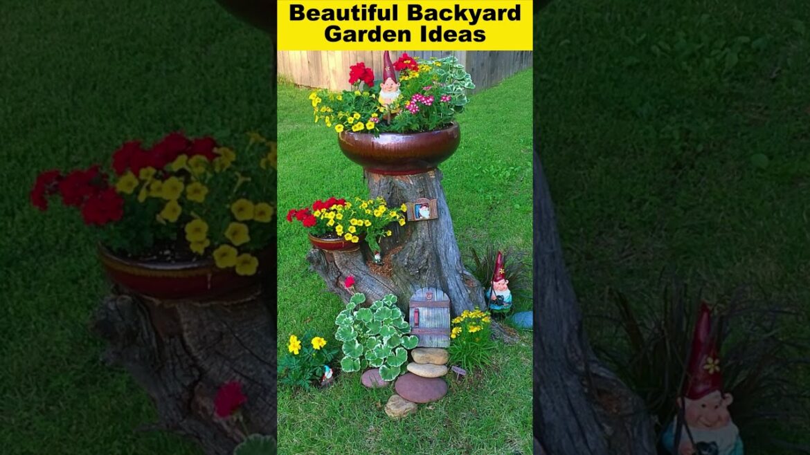 Beautiful backyard garden ideas #shorts #viral #garden #gardenideas