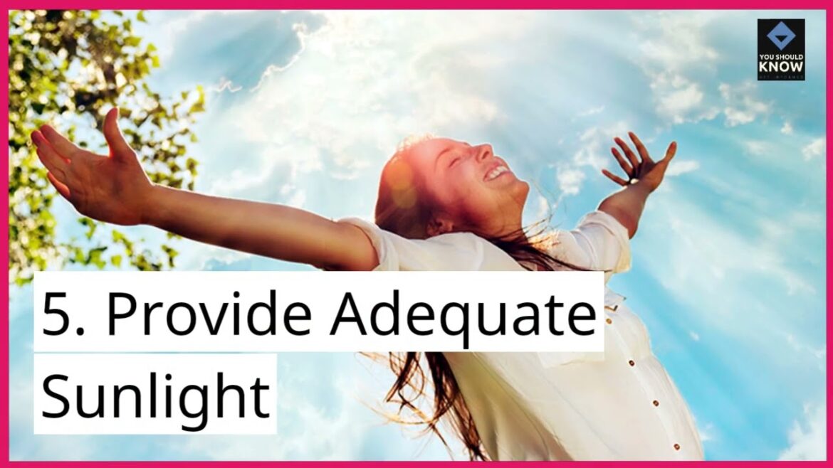 Top 10 Tips for Successful Container Gardening Top 10 Tips for Successful Container Gardening