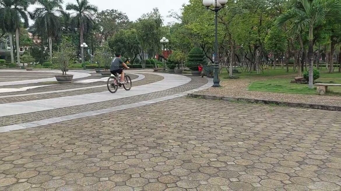 Silent Symphony: A Day of Harmonizing with Tranquility