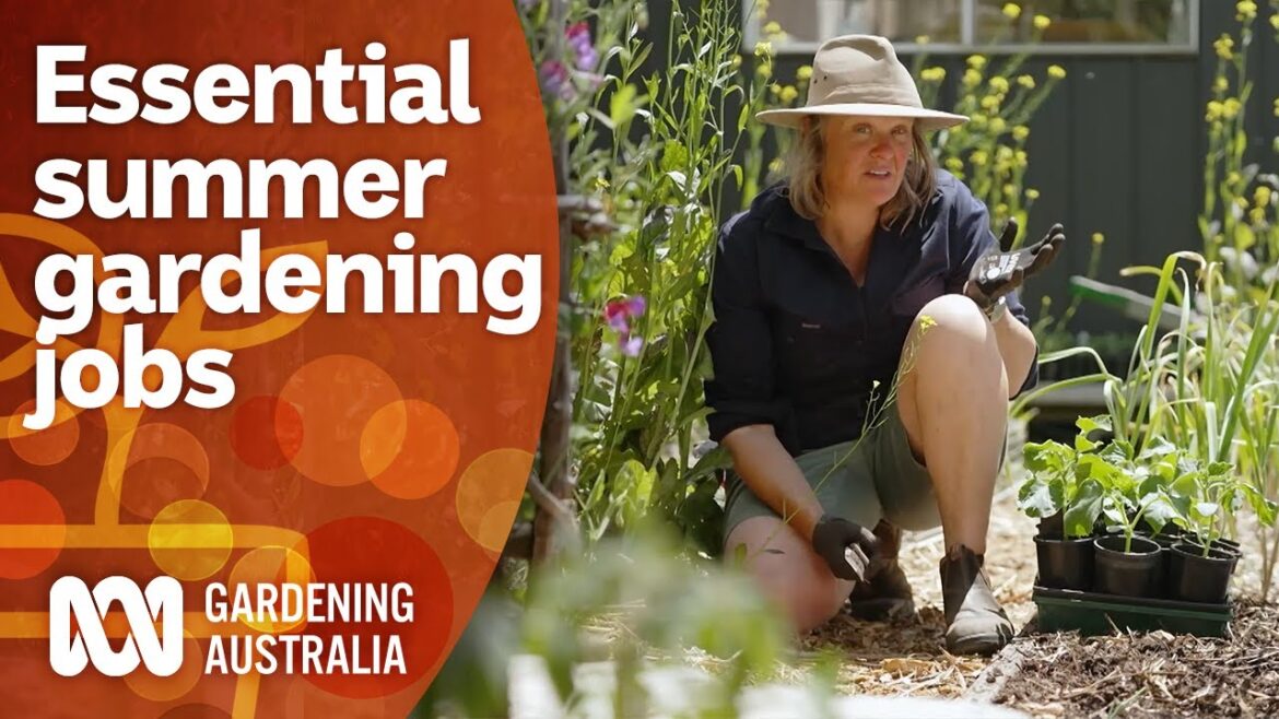 Summer gardening tasks you should not skip | Gardening 101 | Gardening Australia