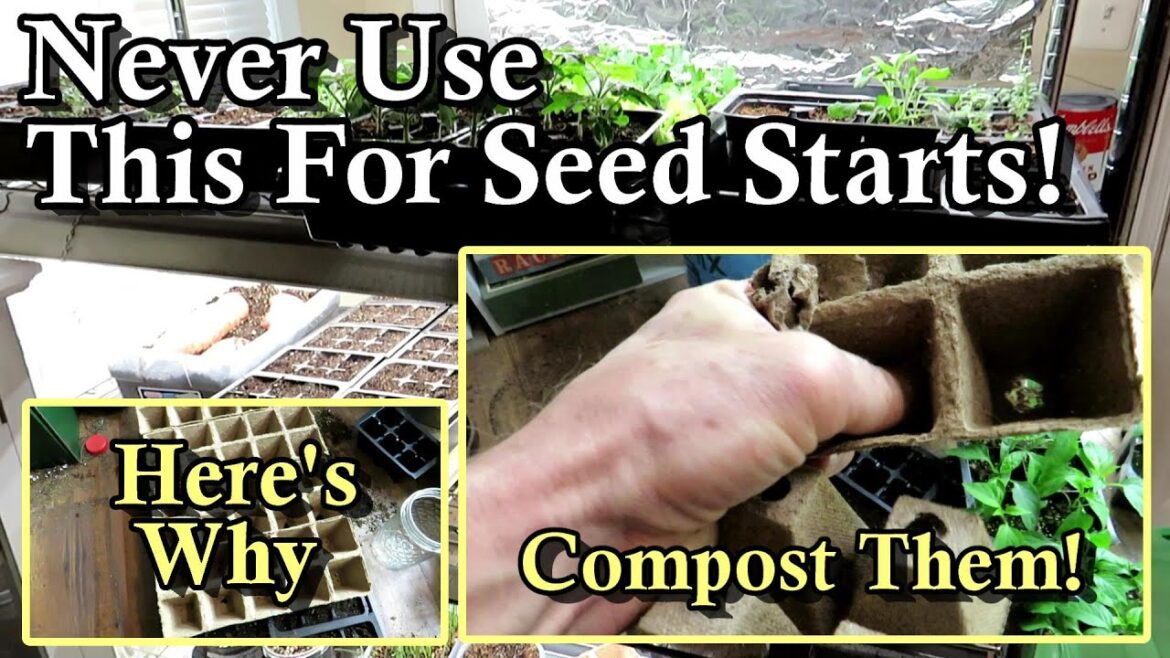 Gary Pilarchik: Peat Pots are Problematic for Starting Seeds – Don’t Use Them: Here are the Issues! Peat Pots are Problematic for Starting Seeds - Don't Use Them: Here are the Issues!