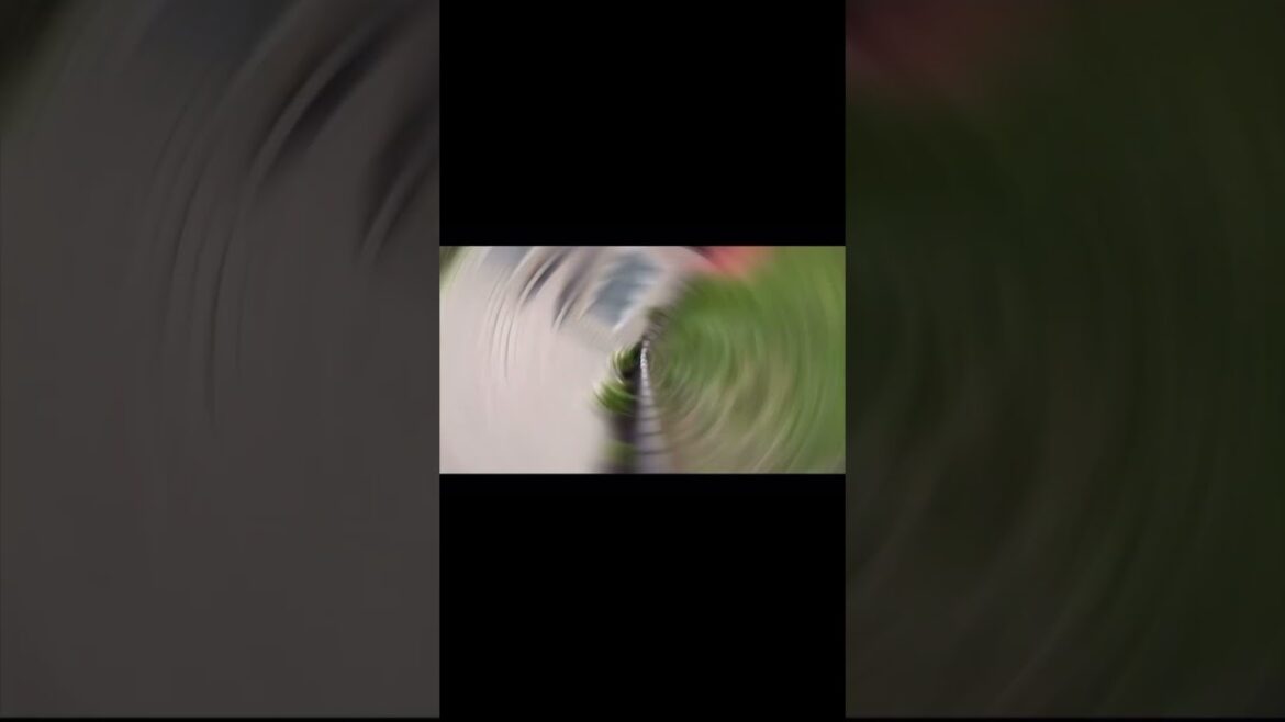 Small backyard transformation #shorts #transformation #landscape