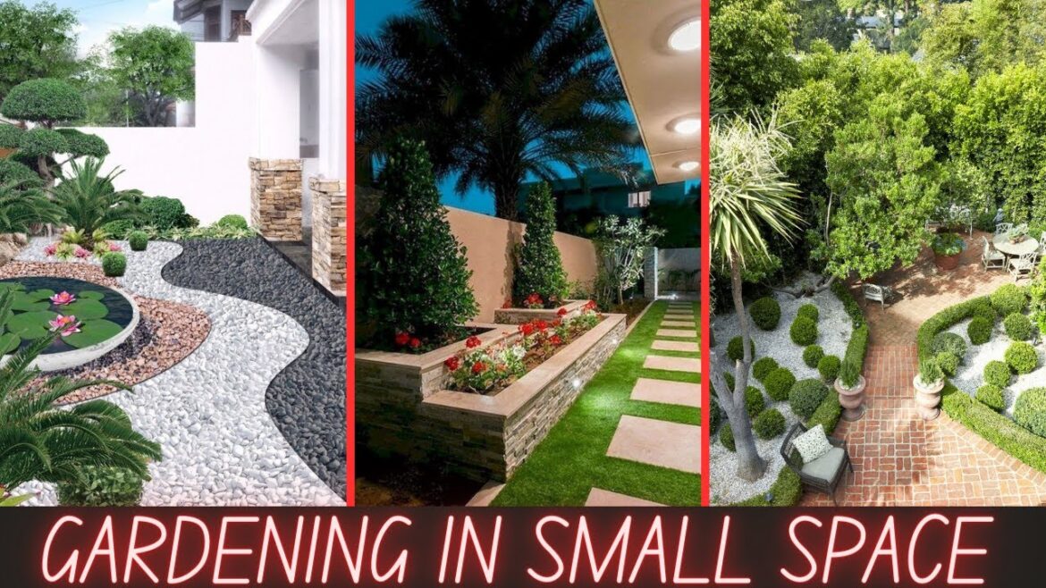 gardening in small spaces||simple backyard landscaping ideas||backyard diy landscaping ideas#garden gardening in small spaces||simple backyard landscaping ideas||backyard diy landscaping ideas#garden