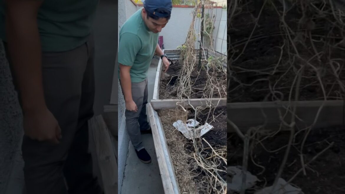 Broken Raised Bed Disaster! 🌧️