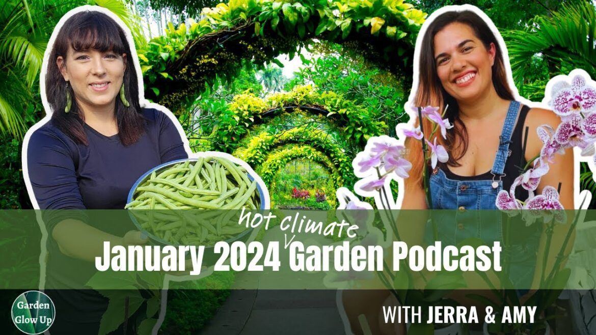 Garden Glimpse: December 2023 Recap and January 2024 Planting Plans Garden Glimpse: December 2023 Recap and January 2024 Planting Plans