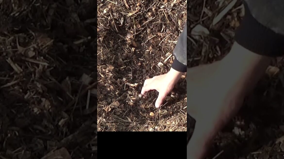 Garden tips, the easiest cold frame ever Garden tips, the easiest cold frame ever