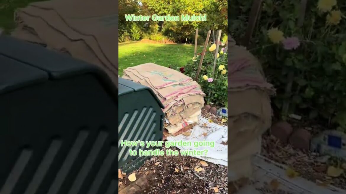 Winter Garden  Mulch – Seattle Washington | Emily Cressey | Home Pro Associates Winter Garden  Mulch - Seattle Washington | Emily Cressey | Home Pro Associates