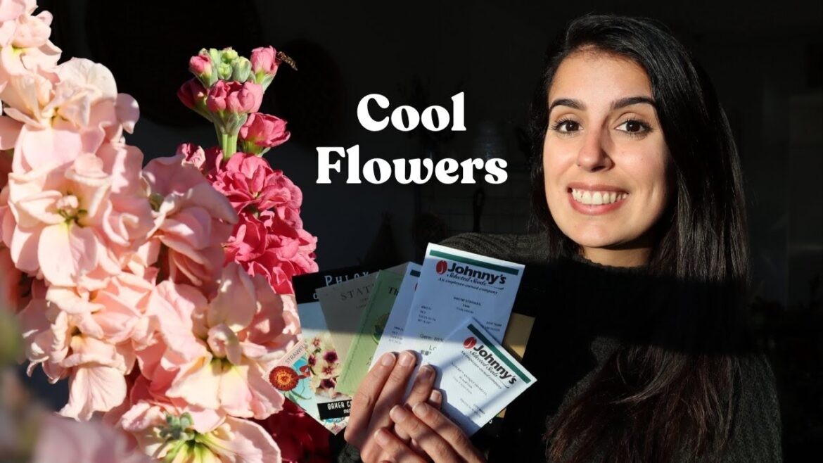 Starting the First Seeds of 2024 🌸 Early Spring Hardy Annuals | Cool Flowers Starting the First Seeds of 2024 🌸 Early Spring Hardy Annuals | Cool Flowers