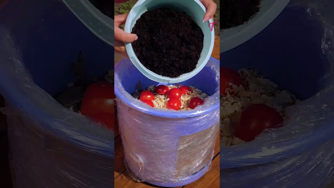 Growing Vegetables: Tips for a Bountiful Harvest #shorts