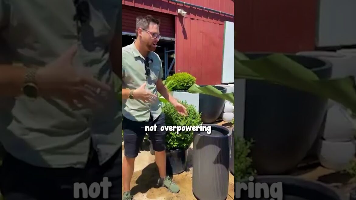 Ultra Lightweight Pots For Your Garden🌱🪴😍 Ultra Lightweight Pots For Your Garden🌱🪴😍