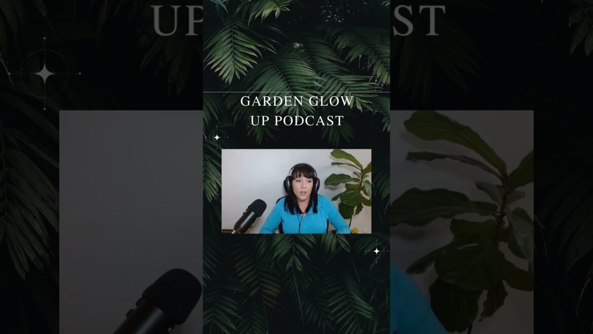 Garden Glimpse: December 2023 Recap and January 2024 Planting Plans #garden