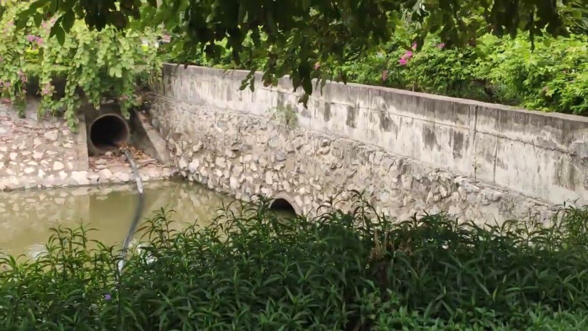 Mystical Twilight: Sunset Magic in the Fall Sky