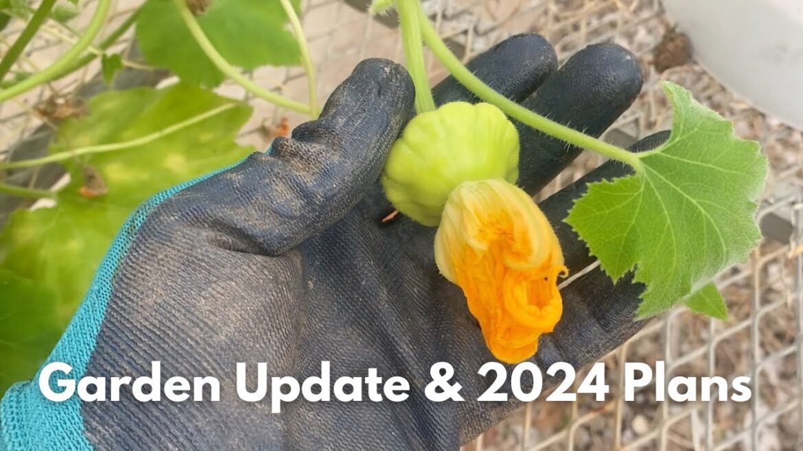 Garden Update & 2024 Plans | Easton Banks Learning & Life Center, Inc.