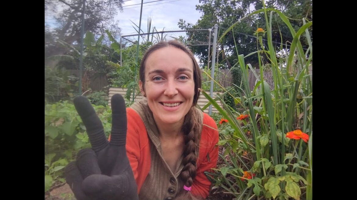 WELCOME to the Second GARDEN TOUR!!!