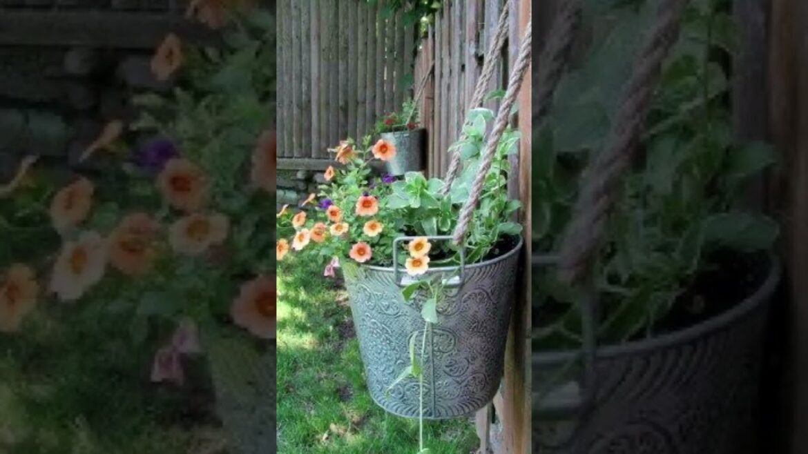 Garden ideas #gardeningideas