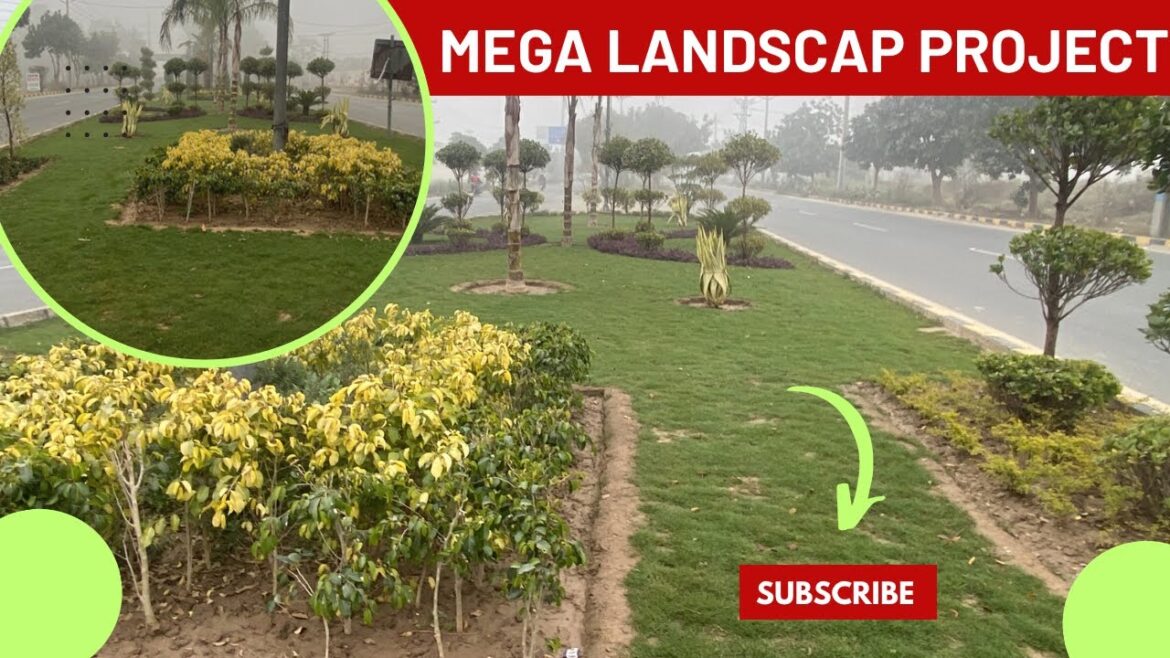 Mega landscaping project at Lahore | Best landscaping track | landscaping consultant