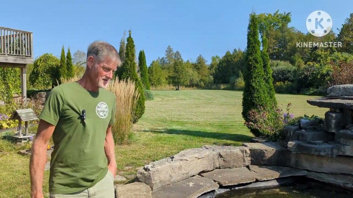 Pond Tours / Dreaming and Planning Changes to Ponds. #bass #goldfish #garden #ponds Pond Tours / Dreaming and Planning Changes to Ponds. #bass #goldfish #garden #ponds