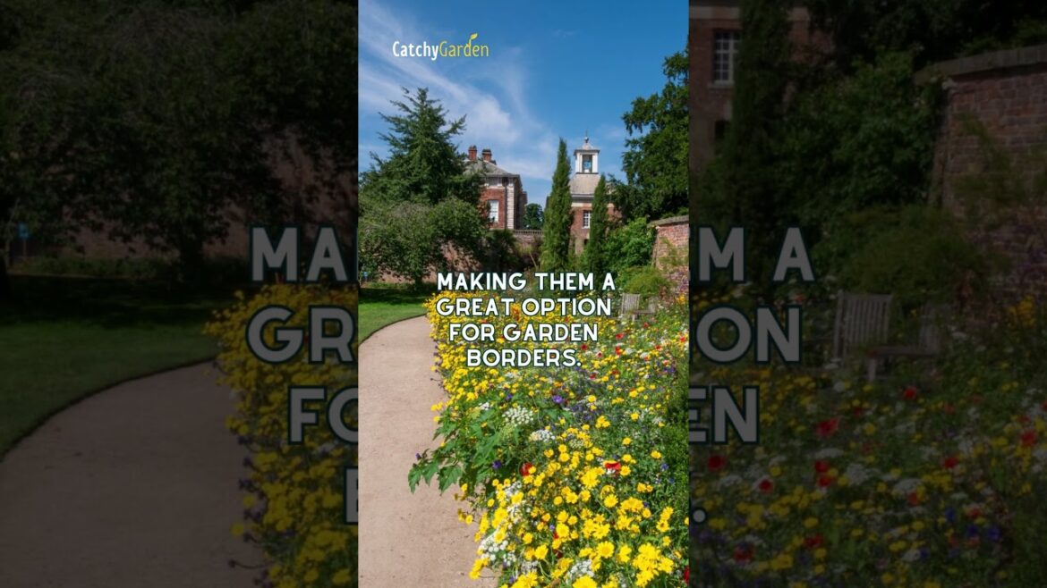 5 Stunning Garden Border Ideas for Year-Round Beauty 🌿🏠🌷 // #shorts   #gardening