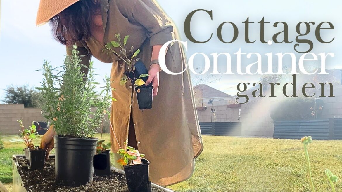 🌷🌸Replanting This Container Garden to fix a beginner’s mistake.