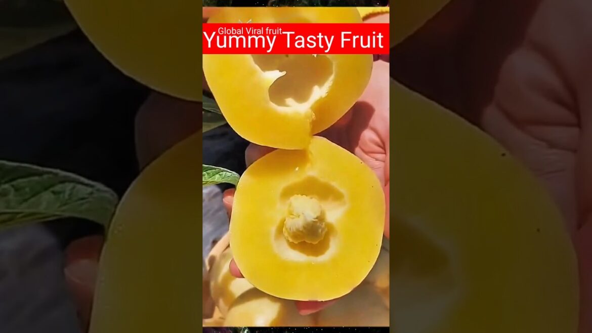 Trending Fruit All Country December 15, 2023 Part_8#shorts #fruit  #youtubeshorts #short#shortfeed