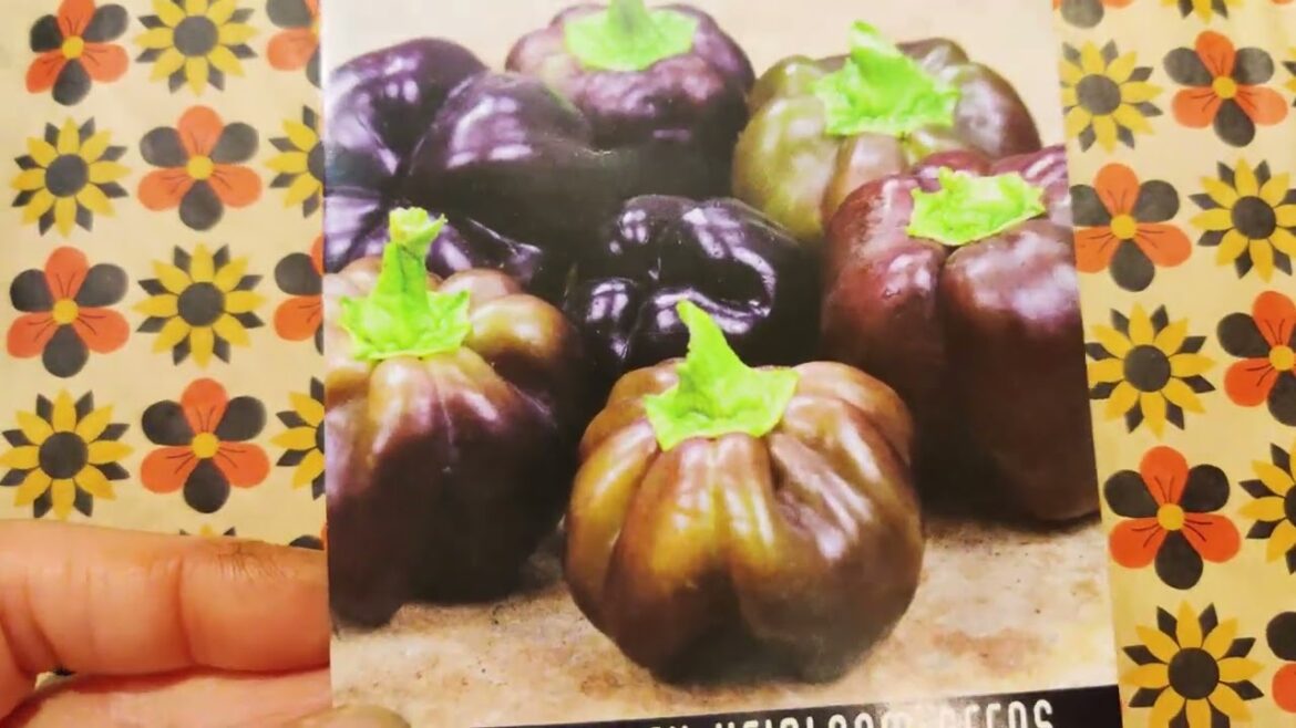 Serenity Garden 2024 Baker Creek Seed Haul Serenity Garden 2024 Baker Creek Seed Haul