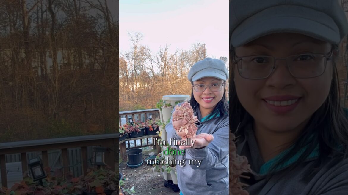 Why I mulch Vertical Planters for Strawberry Towers #wintergardening #verticalgardening Why I mulch Vertical Planters for Strawberry Towers #wintergardening #verticalgardening