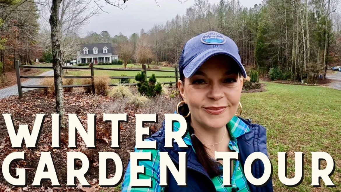 Explore the Hidden Beauty of the Privacy Berm in Winter Explore the Hidden Beauty of the Privacy Berm in Winter