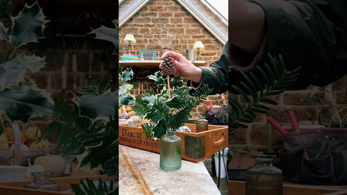 How to make a festive centrepiece this Christmas πΏπ #christmas #decoration #festivedecoration How to make a festive centrepiece this Christmas πΏπ #christmas #decoration #festivedecoration