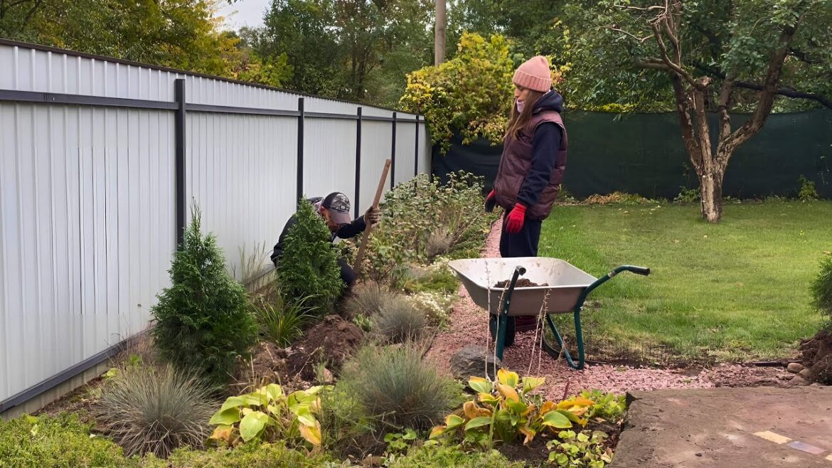 What's Wrong with My Garden? My First Steps in Garden Design. Planting Thuja. 🌿🏡