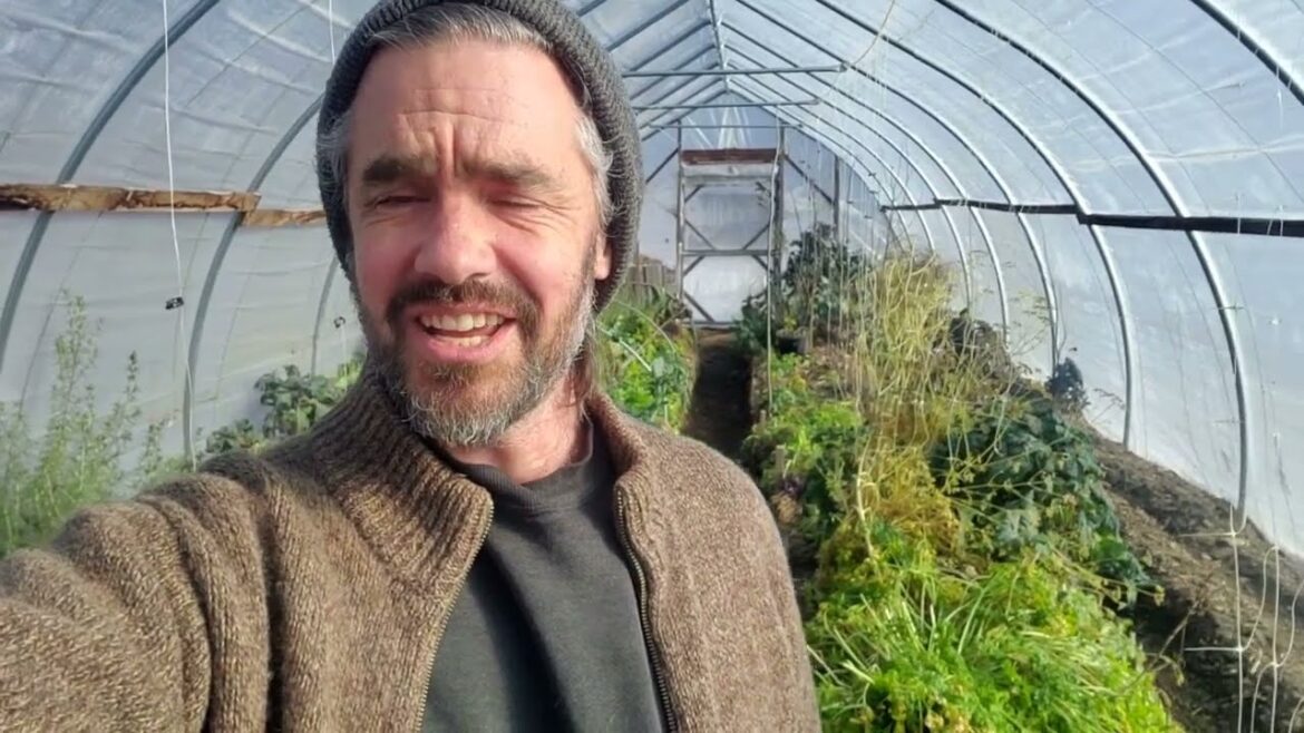 High Tunnel - Mid Winter Wander