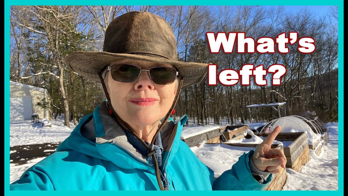 Let's take a walk on Day 3 of the BIG SNOW