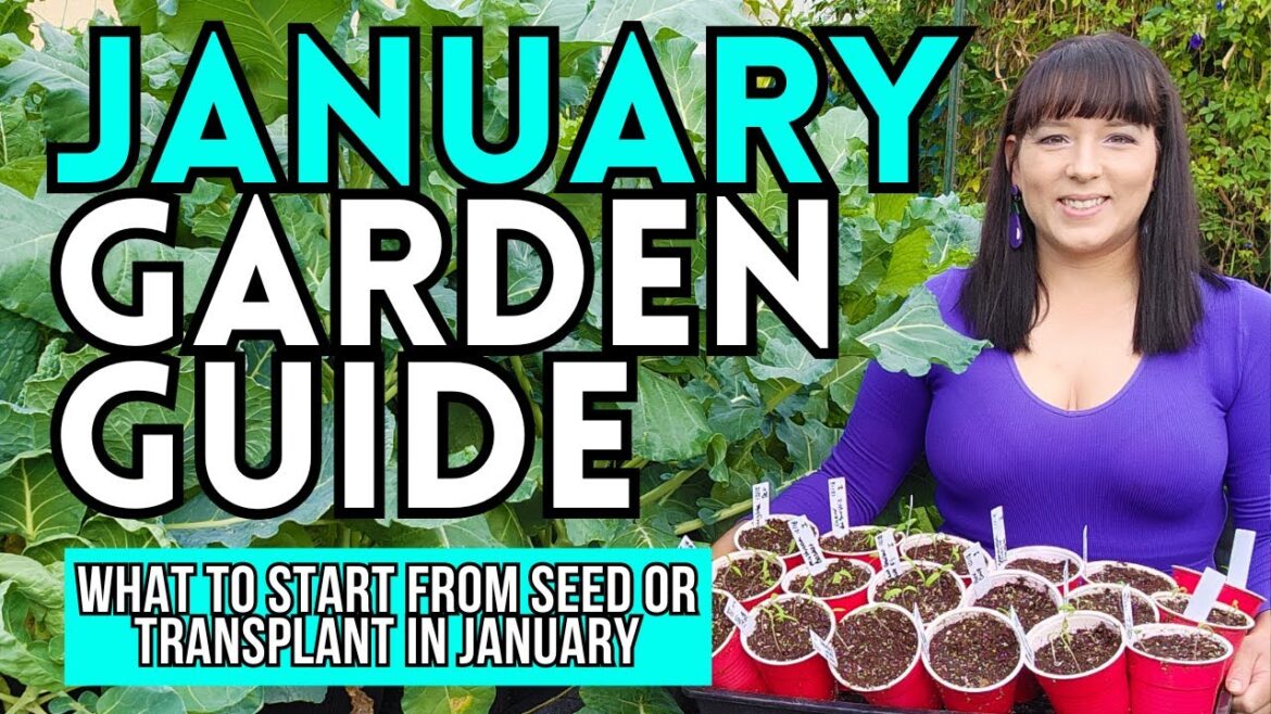 January Garden Guide: What To Start From Seed Or Plant NOW #garden #gardeningtips #vegetablegarden January Garden Guide: What To Start From Seed Or Plant NOW #garden #gardeningtips #vegetablegarden