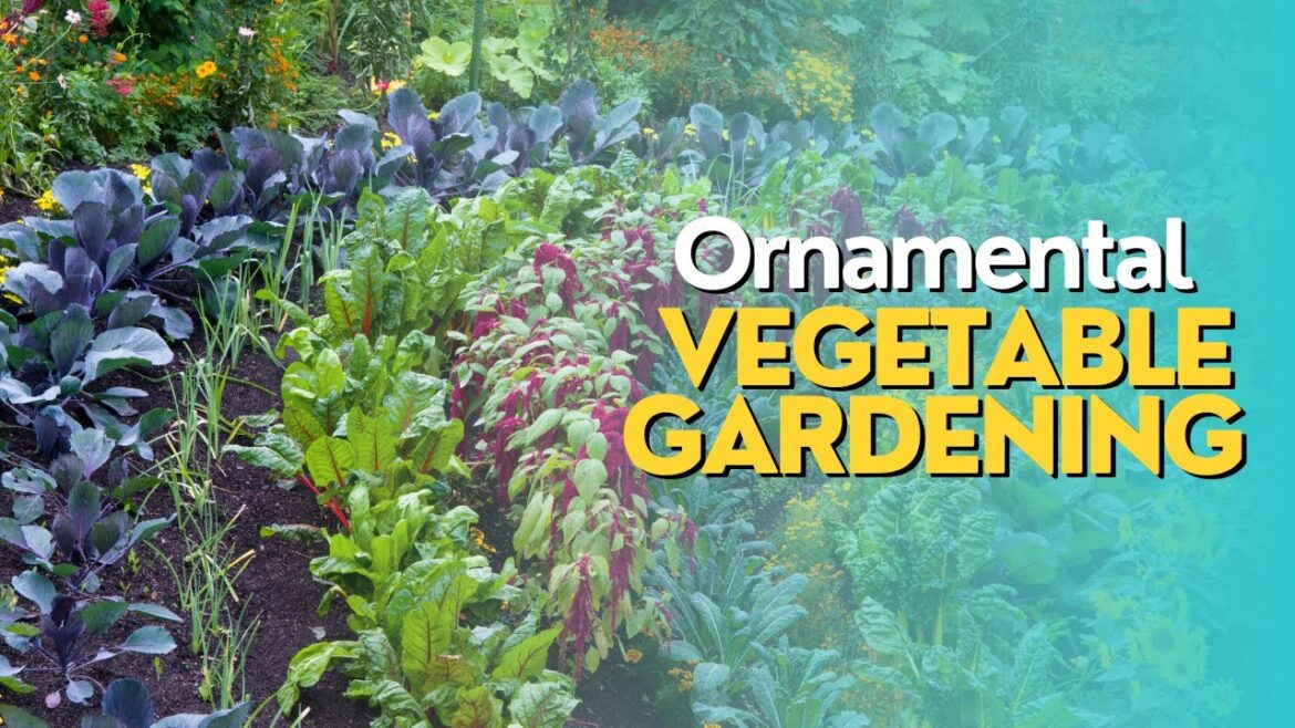 Ornamental Vegetable Gardening