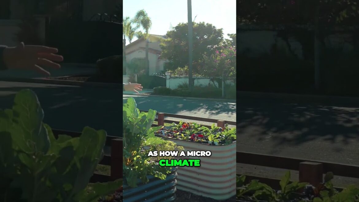 Unveiling the Unknown Secrets Behind Your Climate Zone Revealed! #garden Unveiling the Unknown Secrets Behind Your Climate Zone Revealed! #garden