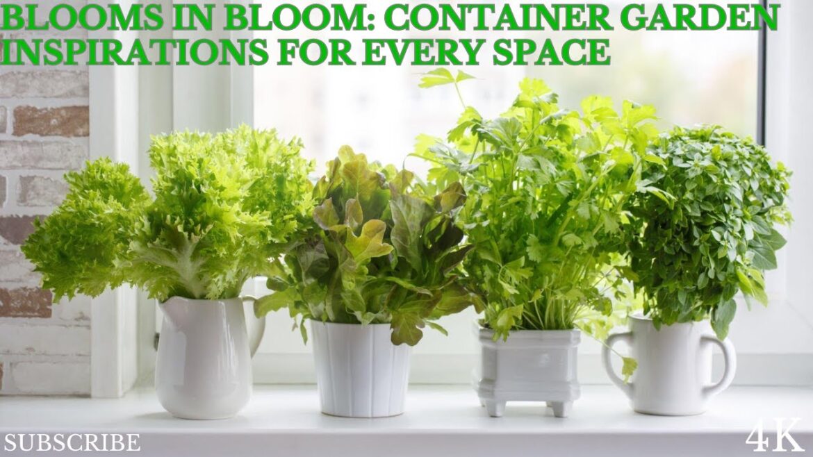 Blooms in Bloom: Container Garden Inspirations for Every Space Blooms in Bloom: Container Garden Inspirations for Every Space