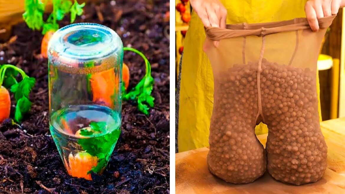 Useful Hacks For Easy Gardening 🌱 Useful Hacks For Easy Gardening 🌱