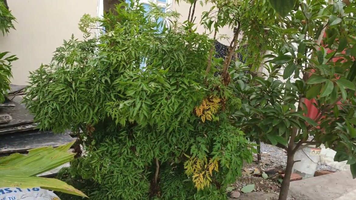 Golden Hours: Nature's Beauty in the Warm Glow of Sunset