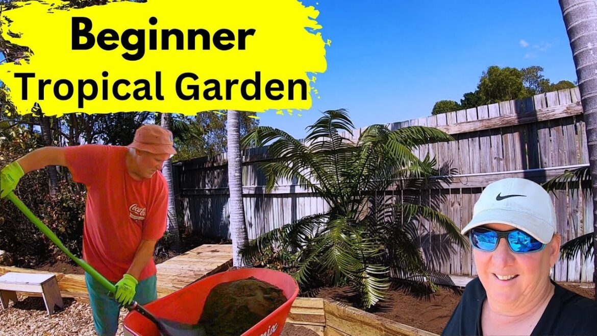 Beginner Tropical Garden NQ Backyard Garden Vlog Beginner Tropical Garden NQ Backyard Garden Vlog