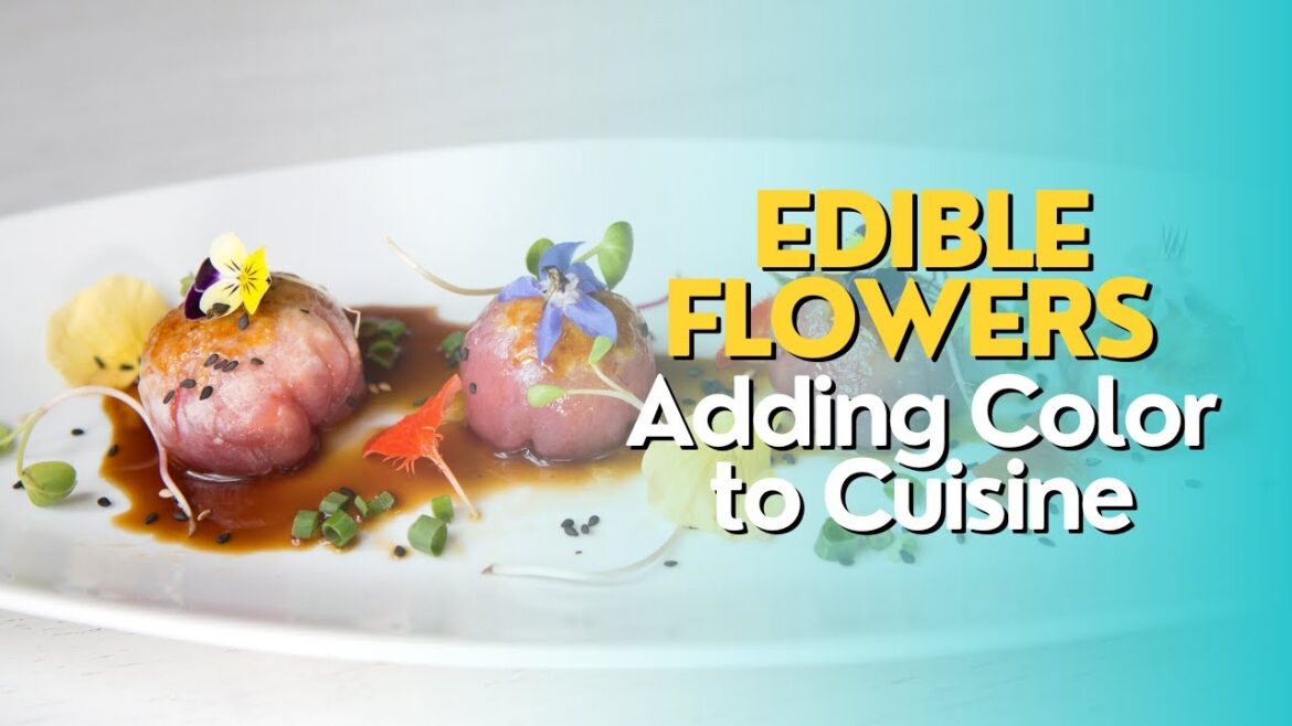Edible Flowers: Adding Color to Cuisine Edible Flowers: Adding Color to Cuisine